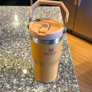 Stanley 20 Oz. IceFlow Tumbler with Flip Straw